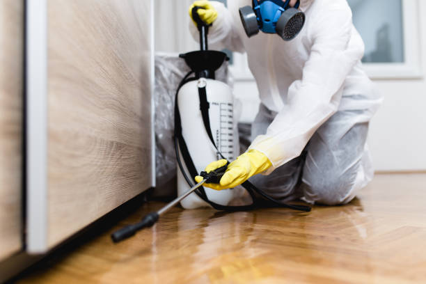 Best Pest Inspection Near Me  in Fort Defiance, AZ