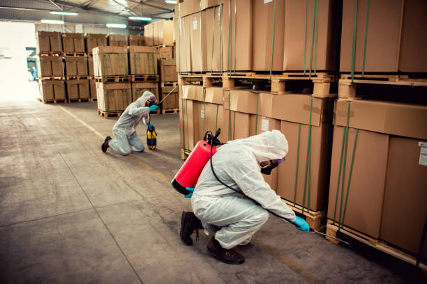 Best Flea Control Services  in Fort Defiance, AZ