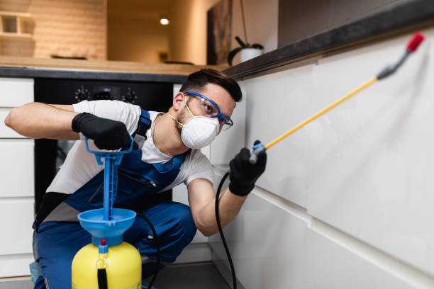 Pest Prevention Services in Fort Defiance, AZ