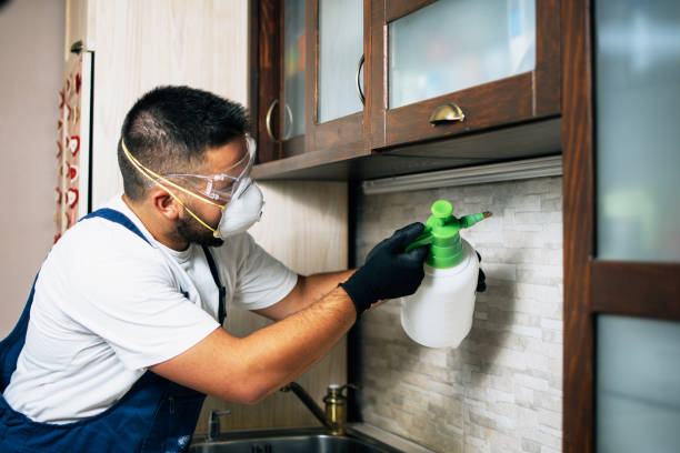 Best Affordable Pest Control Services  in Fort Defiance, AZ