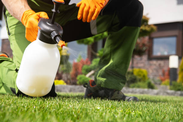 Pest Control Cost in Fort Defiance, AZ