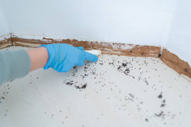 Best Pest Removal Services  in Fort Defiance, AZ